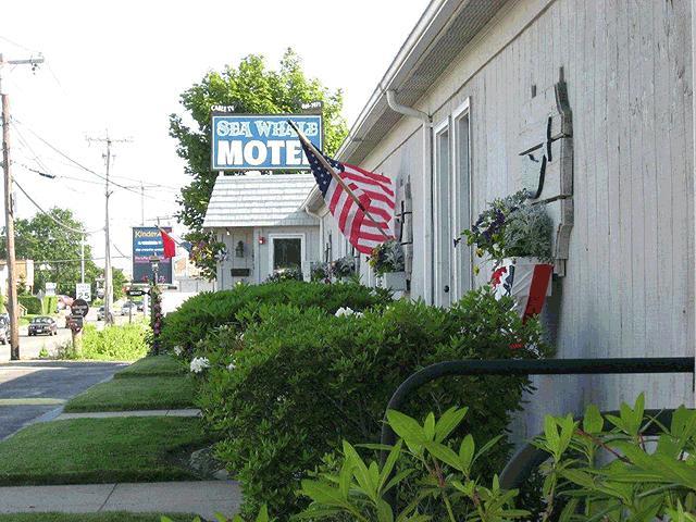 Sea Whale Motel Middletown Extérieur photo